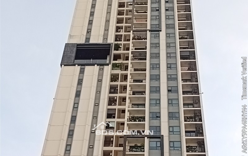 Bán căn hộ 78m² Hado Centrosa Garden, Quận 10, sổ hồng sẵn, chỉ 13 tỷ.